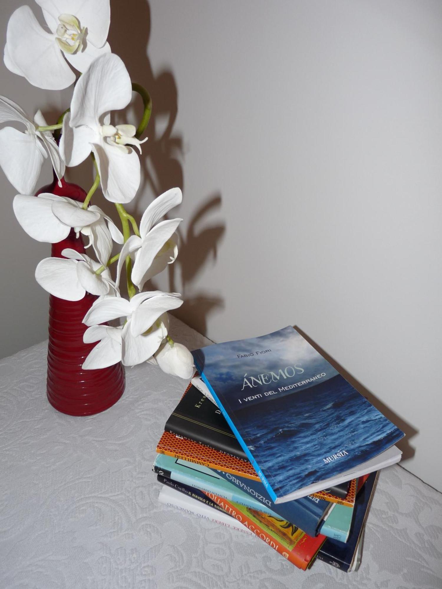 Anemos B&B Termoli Exteriér fotografie